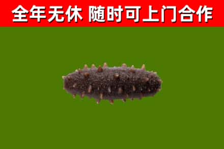 天门烟酒回收干海参.jpg